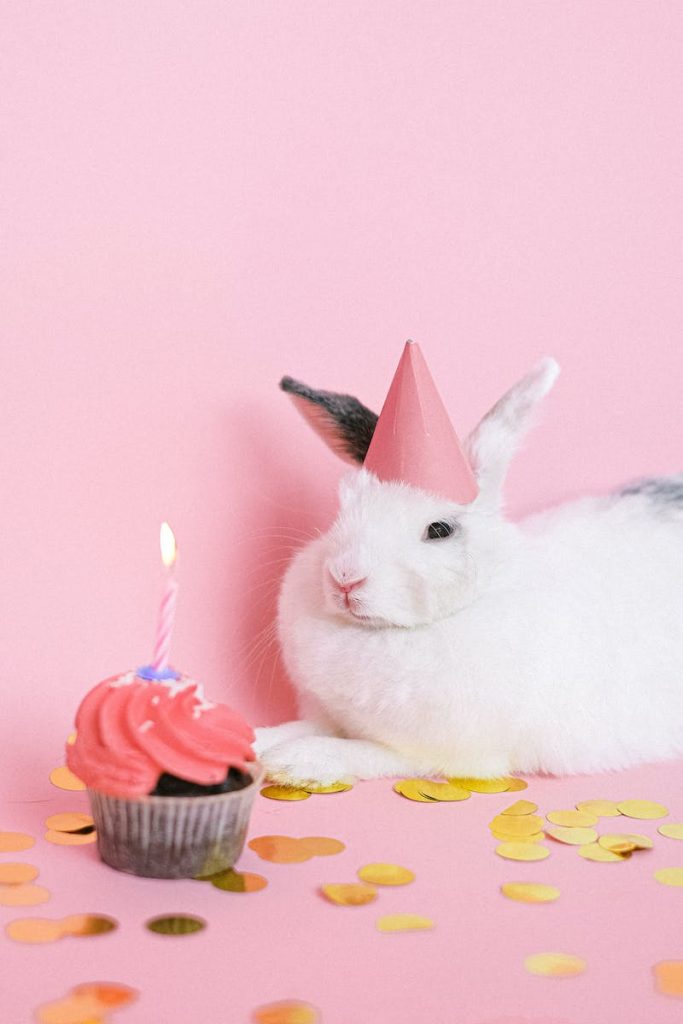 White Rabbit With Pink Party Hat sitting beside a Cupcake with Pink Frosting and Candle